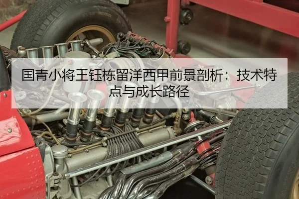 国青小将王钰栋留洋西甲前景剖析：技术特点与成长路径