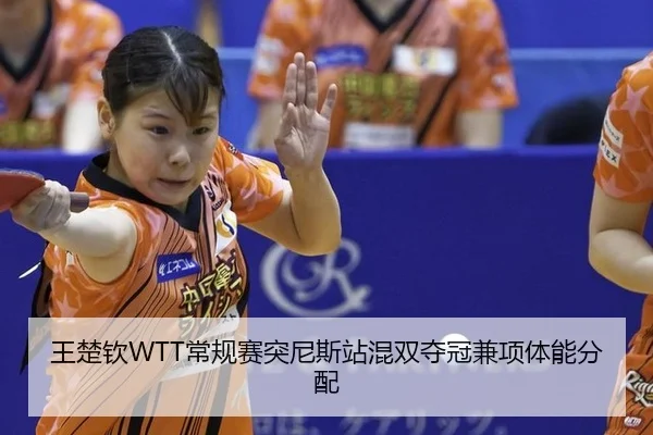 wang-chu-qin-chang-gui-sai-tu-ni-si-zhan-hun-shuang-duo-guan-jian-xiang-ti-neng-fen-pei-2-650.jpg